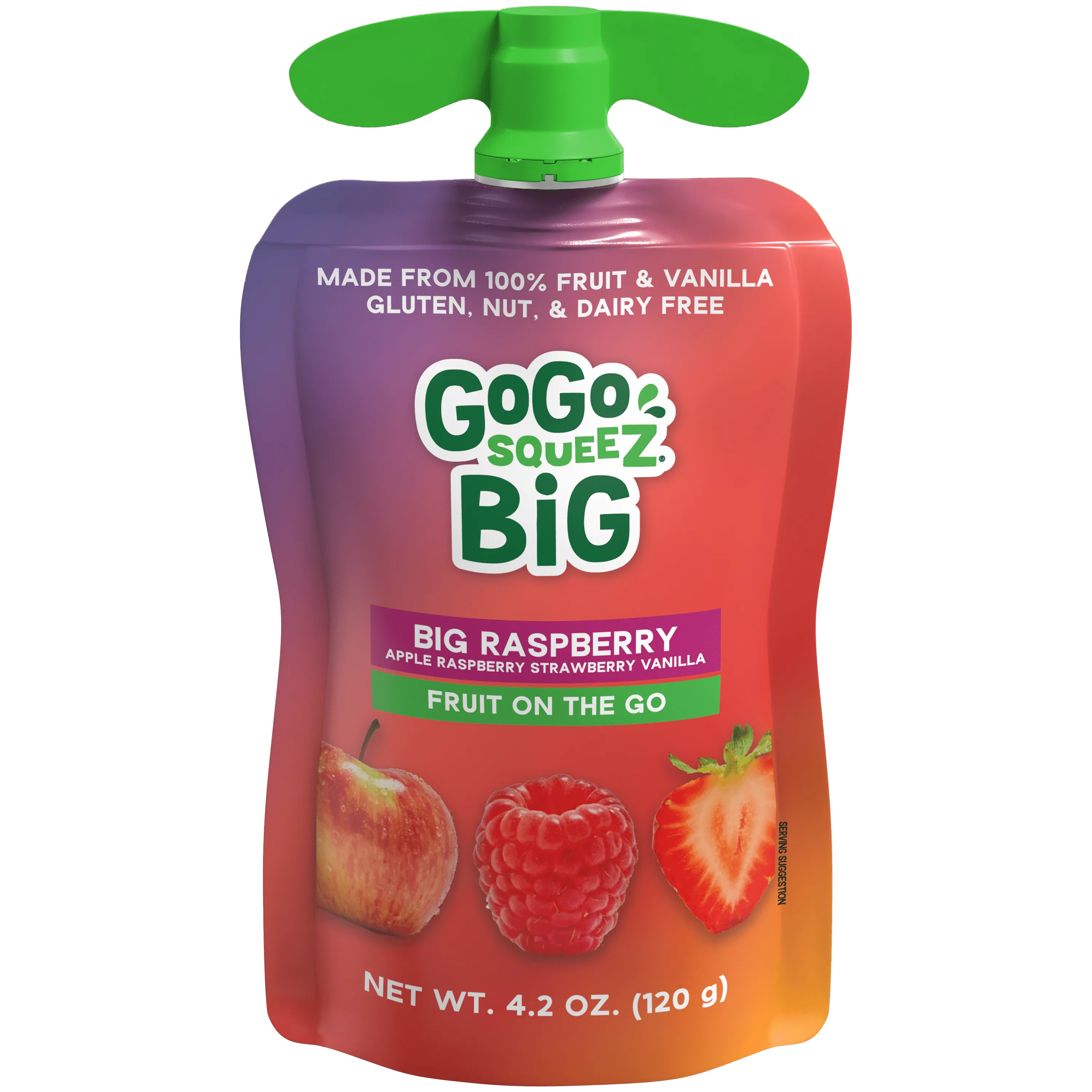 BIG Cinnamon Applesauce & Raspberry Variety Pack | Large GoGo