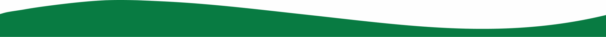 footer-shape2