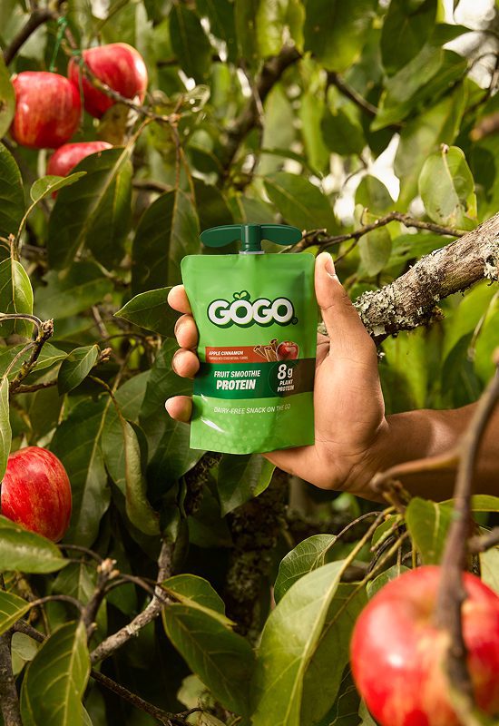 GoGo fruit smoothie protein