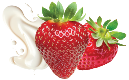 GoGo squeeZ